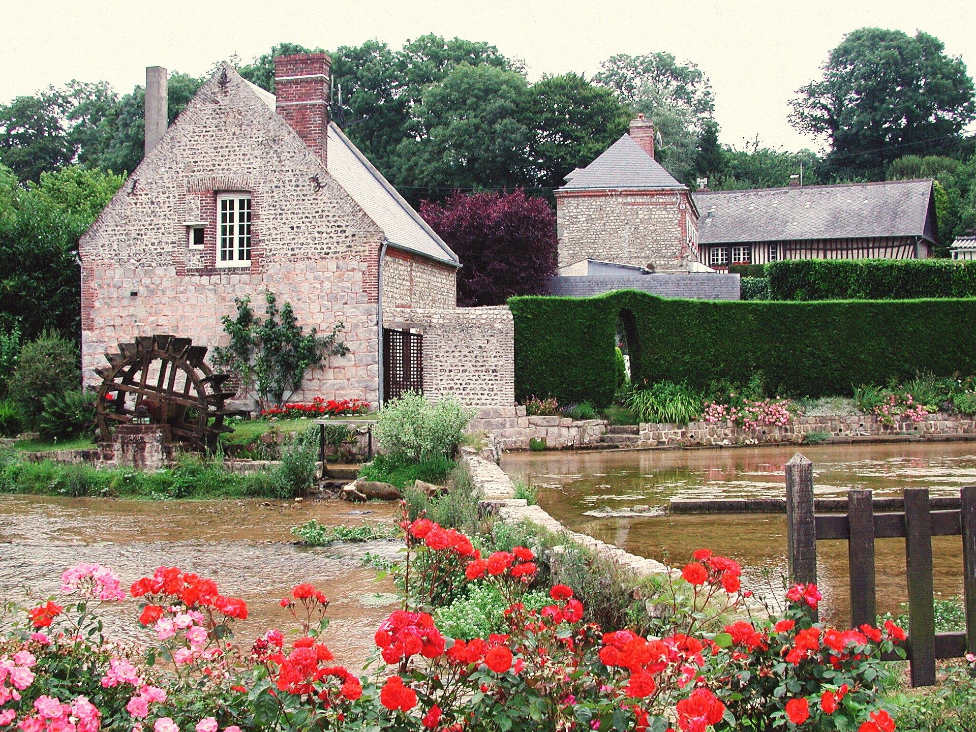 Les cressonnières de Veules-les-Roses